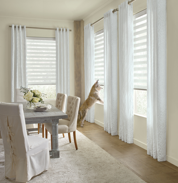 Custom drapes and blinds with no cords for pet safetly. Dog looking out window.